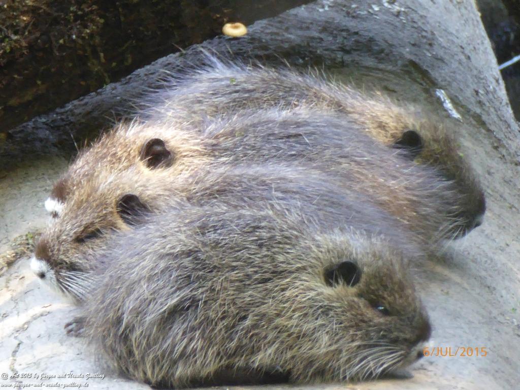Philosophische Bildwanderung Hoerdt-Treidlerweg - Pfalz