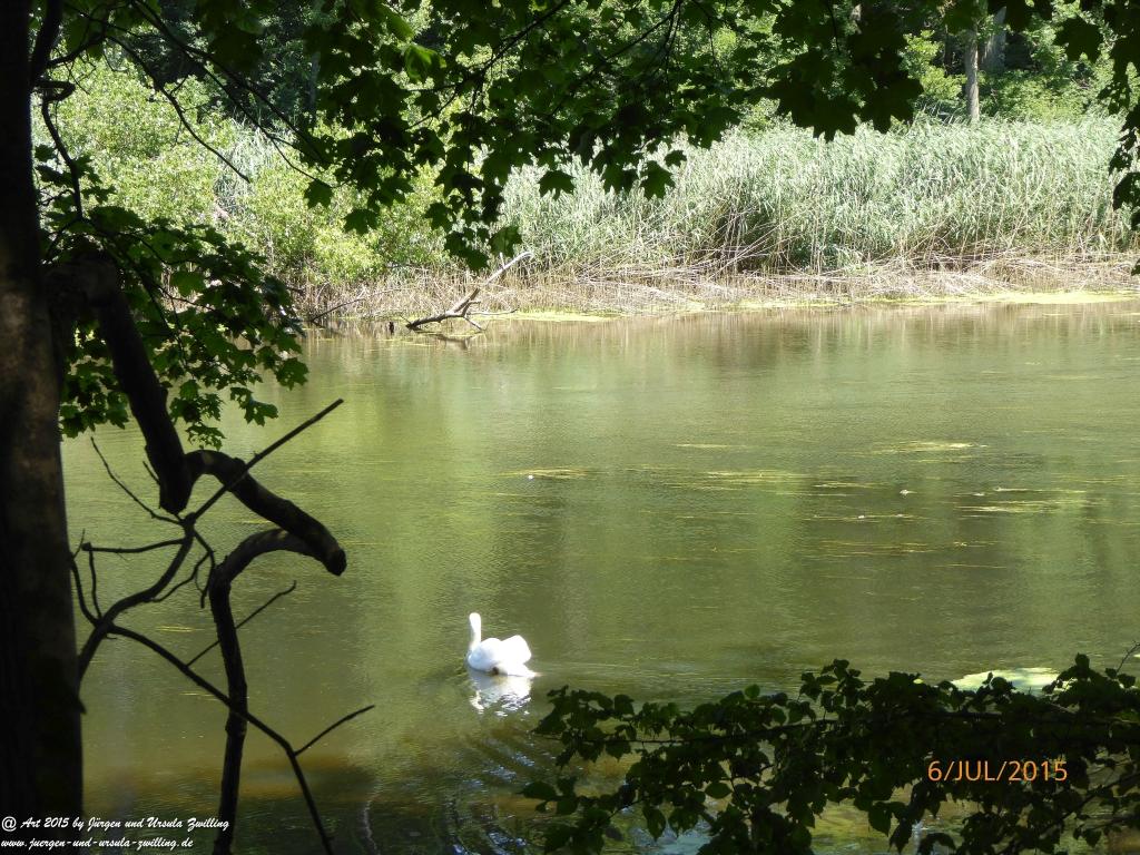 Philosophische Bildwanderung Hoerdt-Treidlerweg - Pfalz