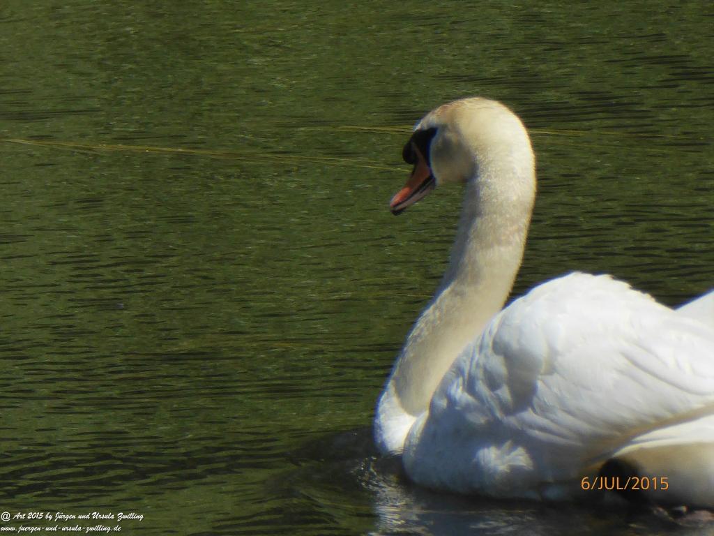 Philosophische Bildwanderung Hoerdt-Treidlerweg - Pfalz