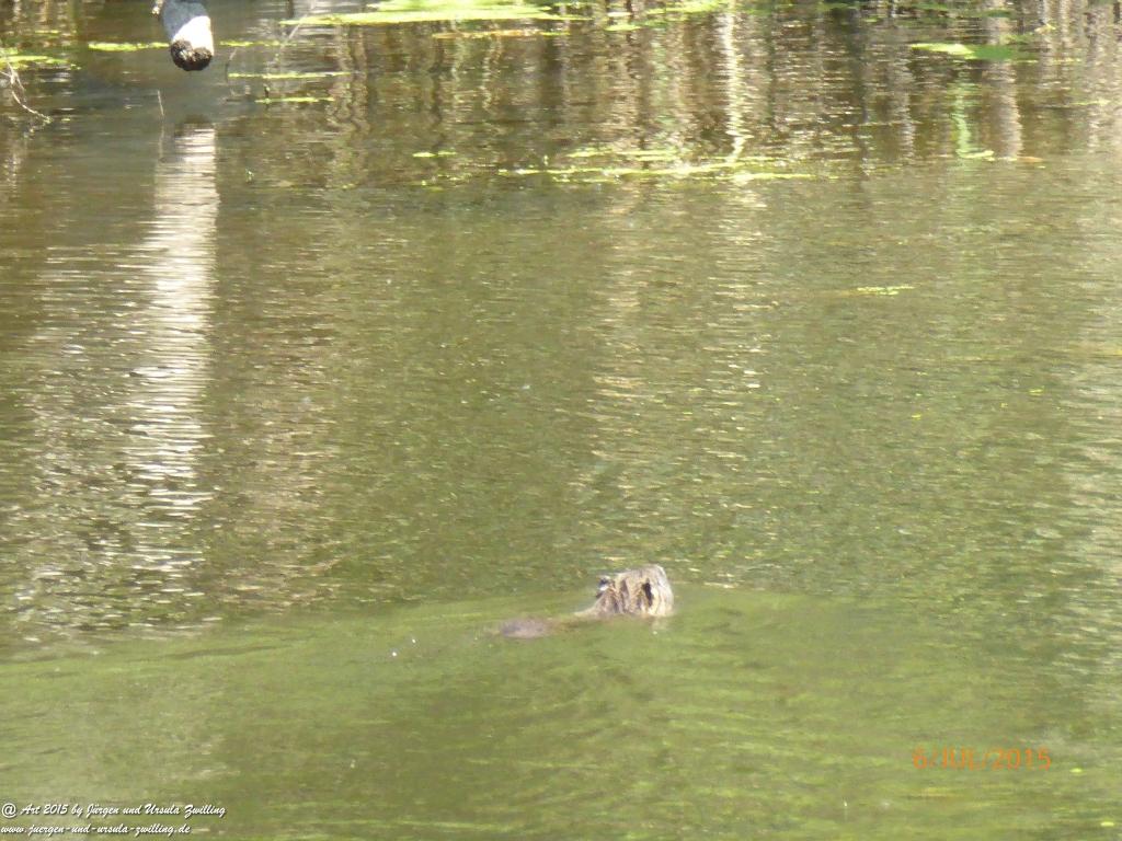 Philosophische Bildwanderung Hoerdt-Treidlerweg - Pfalz