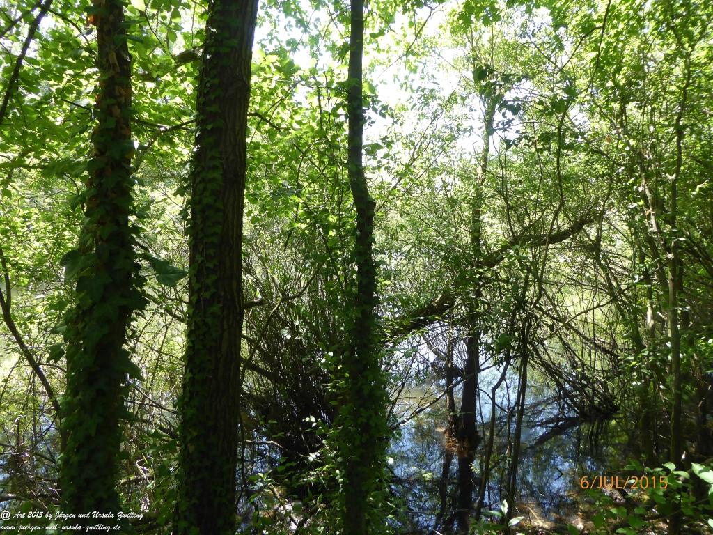 Philosophische Bildwanderung Hoerdt-Treidlerweg - Pfalz