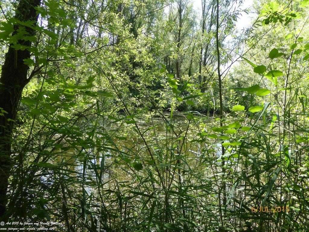 Philosophische Bildwanderung Hoerdt-Treidlerweg - Pfalz