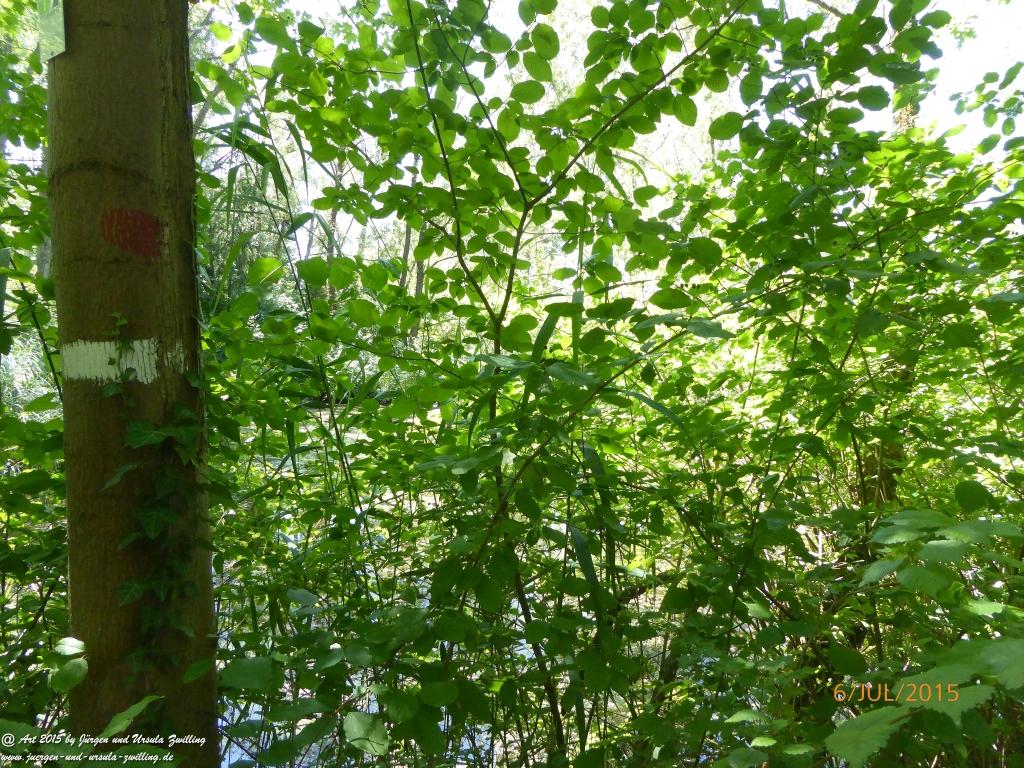 Philosophische Bildwanderung Hoerdt-Treidlerweg - Pfalz