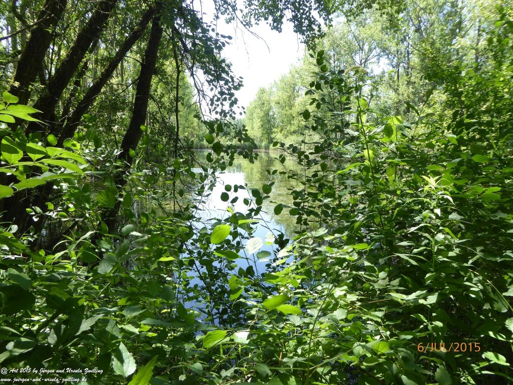 Philosophische Bildwanderung Hoerdt-Treidlerweg - Pfalz