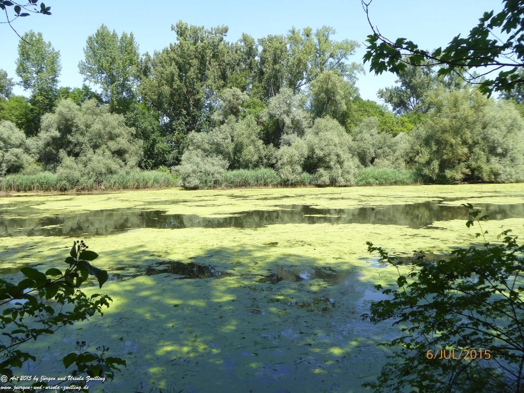 Philosophische Bildwanderung Hoerdt-Treidlerweg - Pfalz
