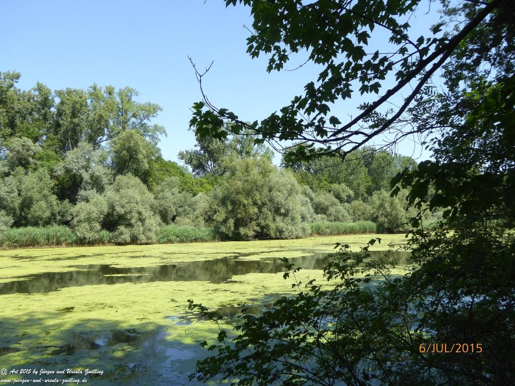 Philosophische Bildwanderung Hoerdt-Treidlerweg - Pfalz