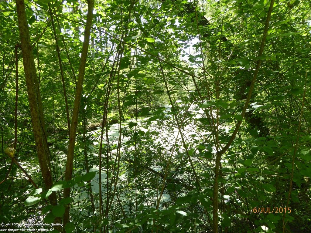 Philosophische Bildwanderung Hoerdt-Treidlerweg - Pfalz