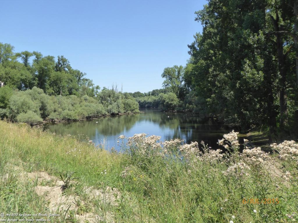 Philosophische Bildwanderung Hoerdt-Treidlerweg - Pfalz