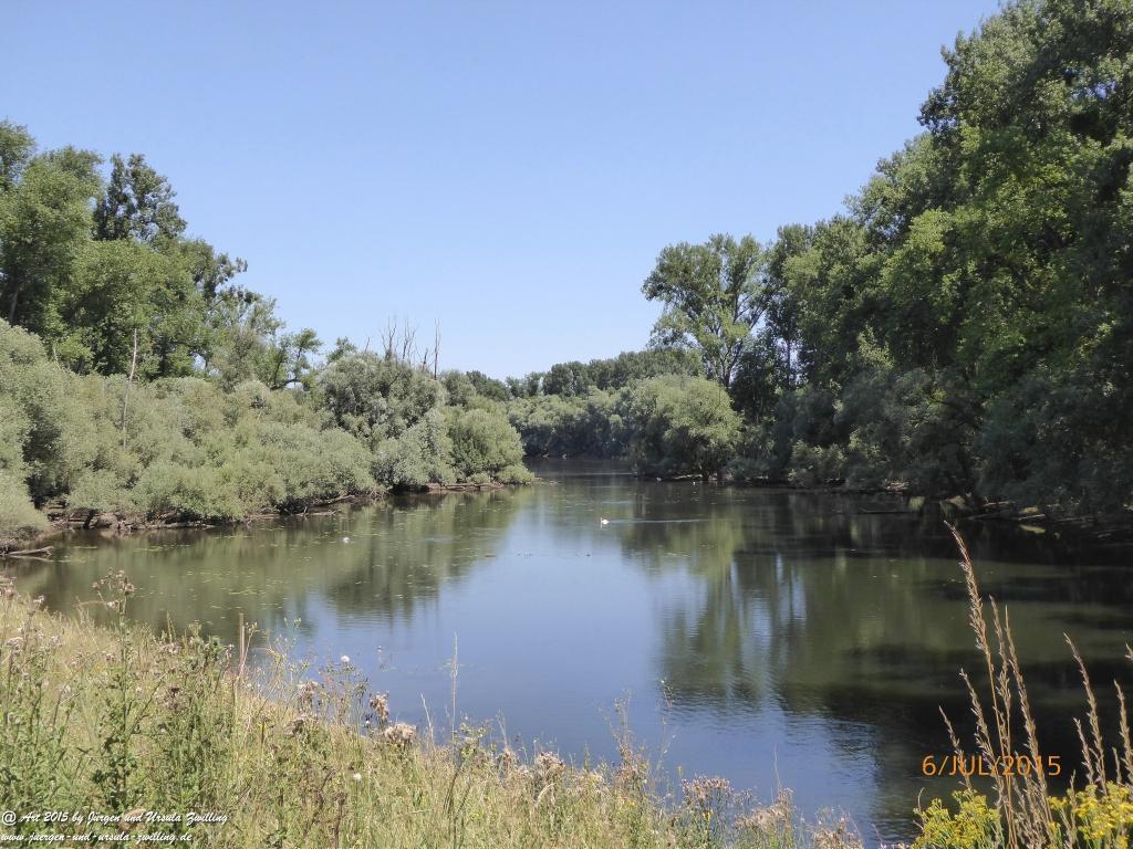 Philosophische Bildwanderung Hoerdt-Treidlerweg - Pfalz