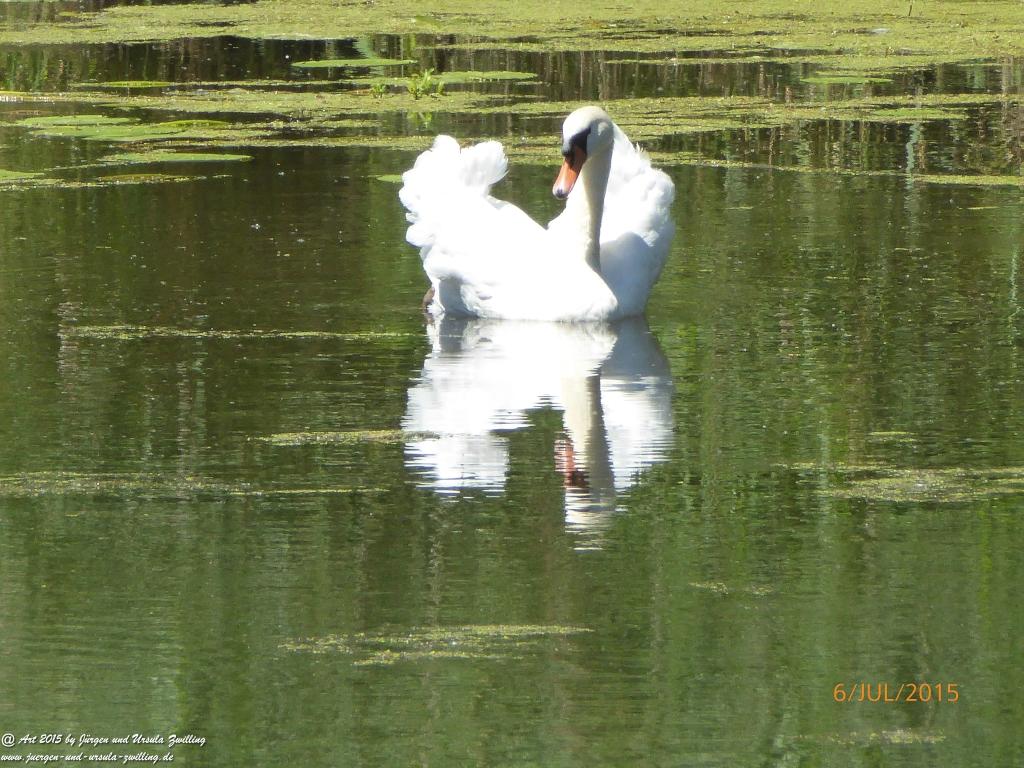 Philosophische Bildwanderung Hoerdt-Treidlerweg - Pfalz