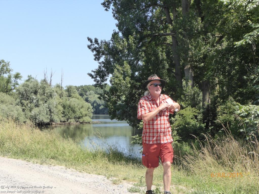 Philosophische Bildwanderung Hoerdt-Treidlerweg - Pfalz