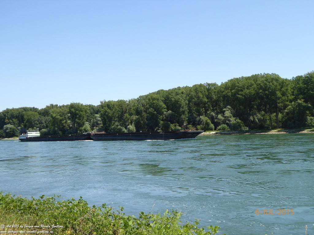 Philosophische Bildwanderung Hoerdt-Treidlerweg - Pfalz