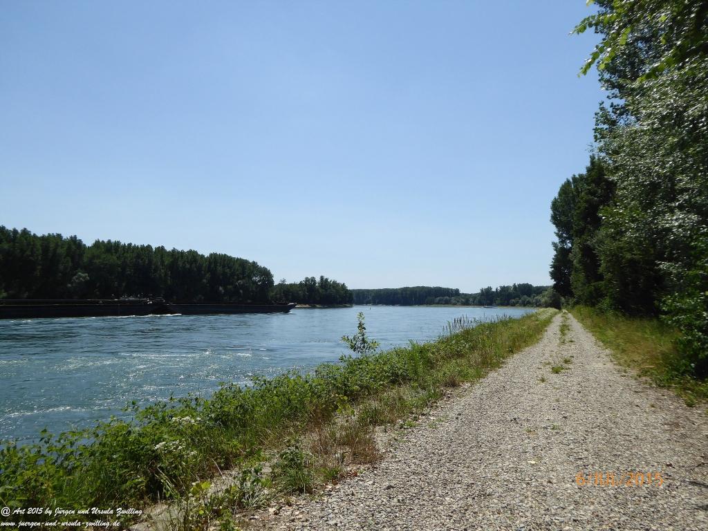 Philosophische Bildwanderung Hoerdt-Treidlerweg - Pfalz