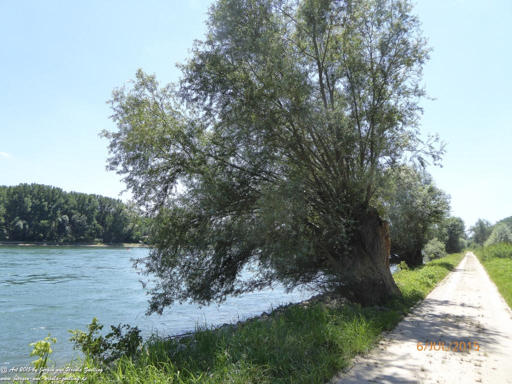 Philosophische Bildwanderung Hoerdt-Treidlerweg - Pfalz