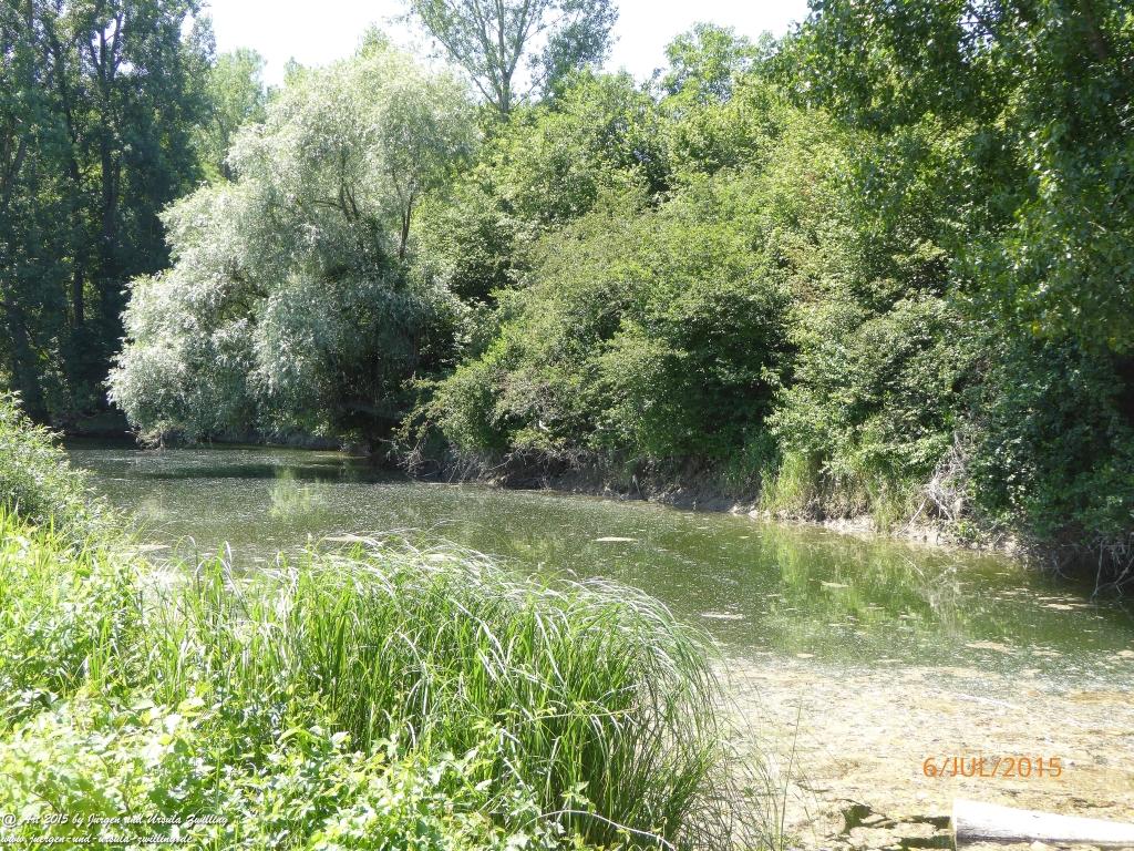 Philosophische Bildwanderung Hoerdt-Treidlerweg - Pfalz