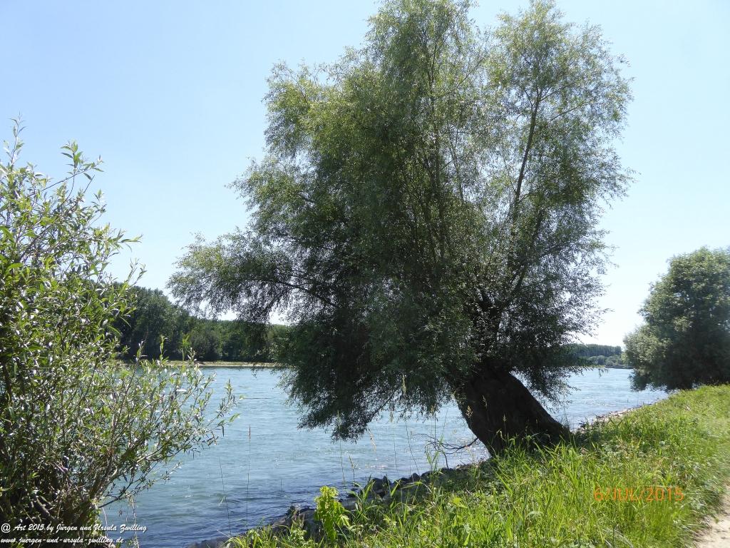 Philosophische Bildwanderung Hoerdt-Treidlerweg - Pfalz