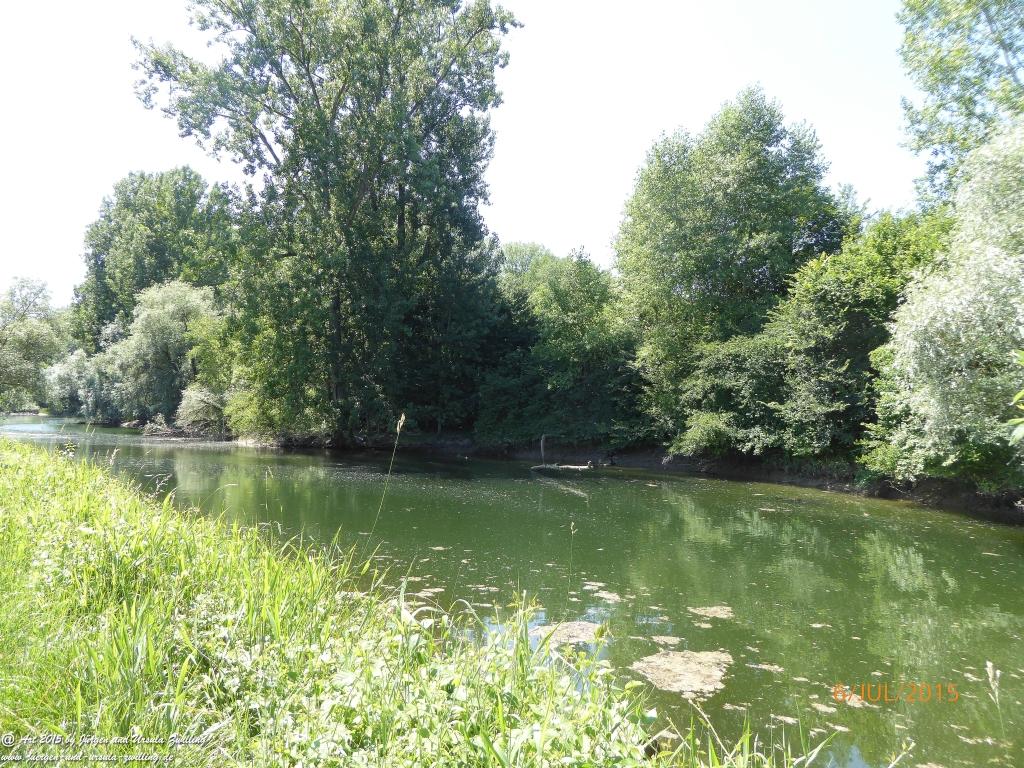 Philosophische Bildwanderung Hoerdt-Treidlerweg - Pfalz