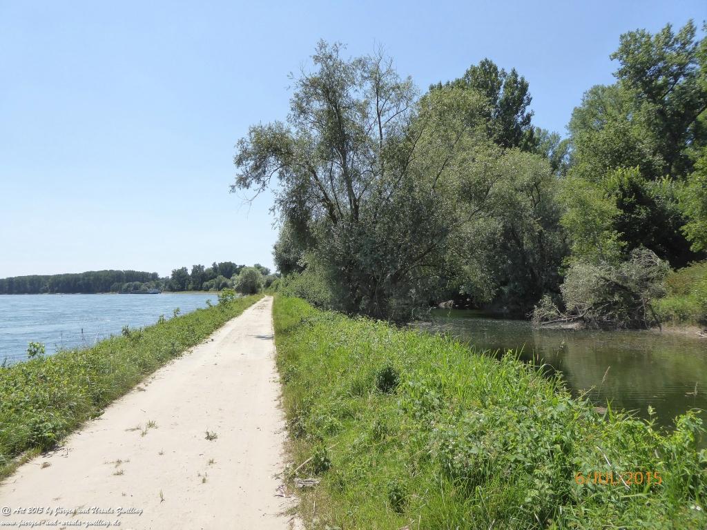 Philosophische Bildwanderung Hoerdt-Treidlerweg - Pfalz