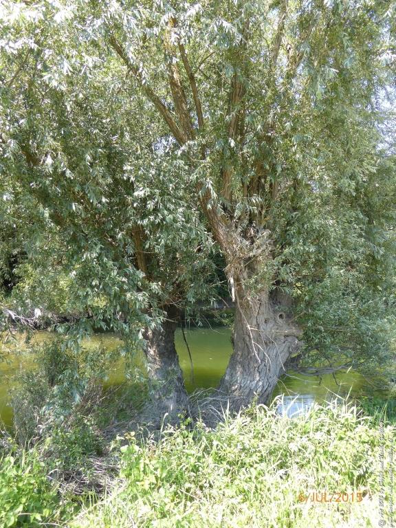 Philosophische Bildwanderung Hoerdt-Treidlerweg - Pfalz
