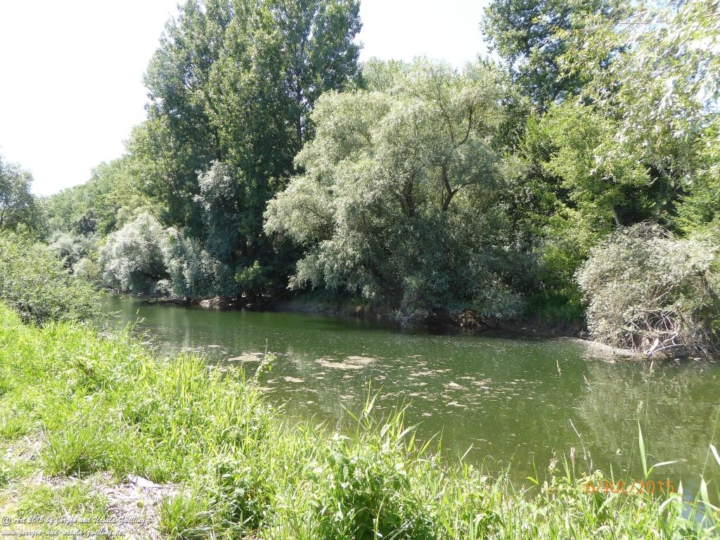 Philosophische Bildwanderung Hoerdt-Treidlerweg - Pfalz