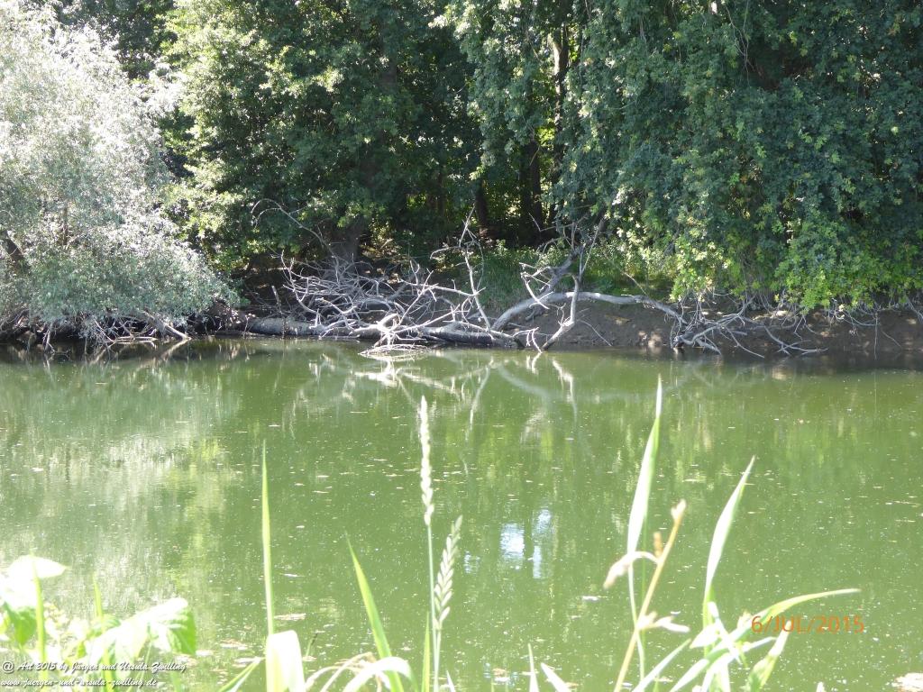 Philosophische Bildwanderung Hoerdt-Treidlerweg - Pfalz
