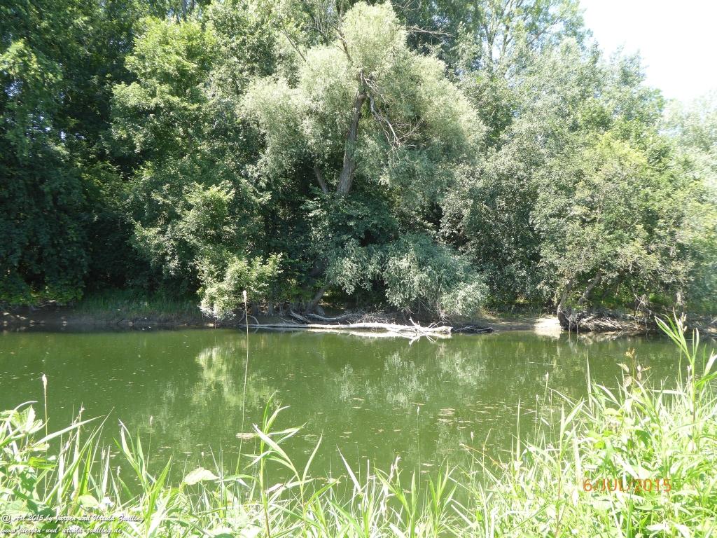 Philosophische Bildwanderung Hoerdt-Treidlerweg - Pfalz