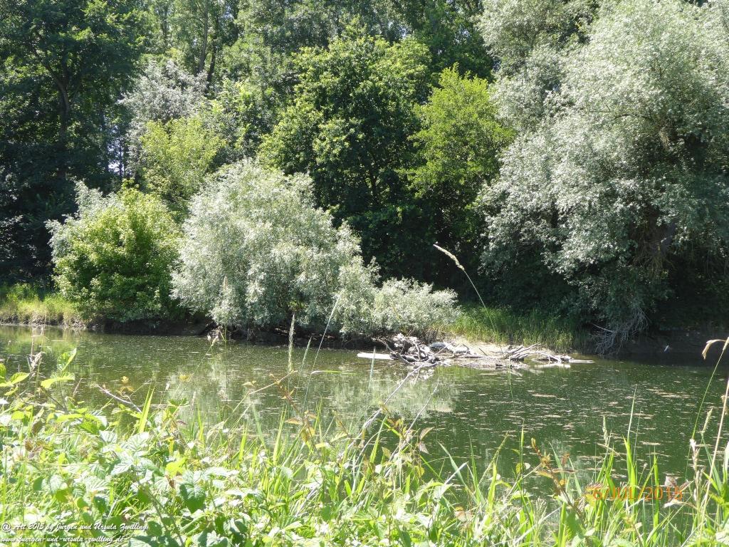 Philosophische Bildwanderung Hoerdt-Treidlerweg - Pfalz