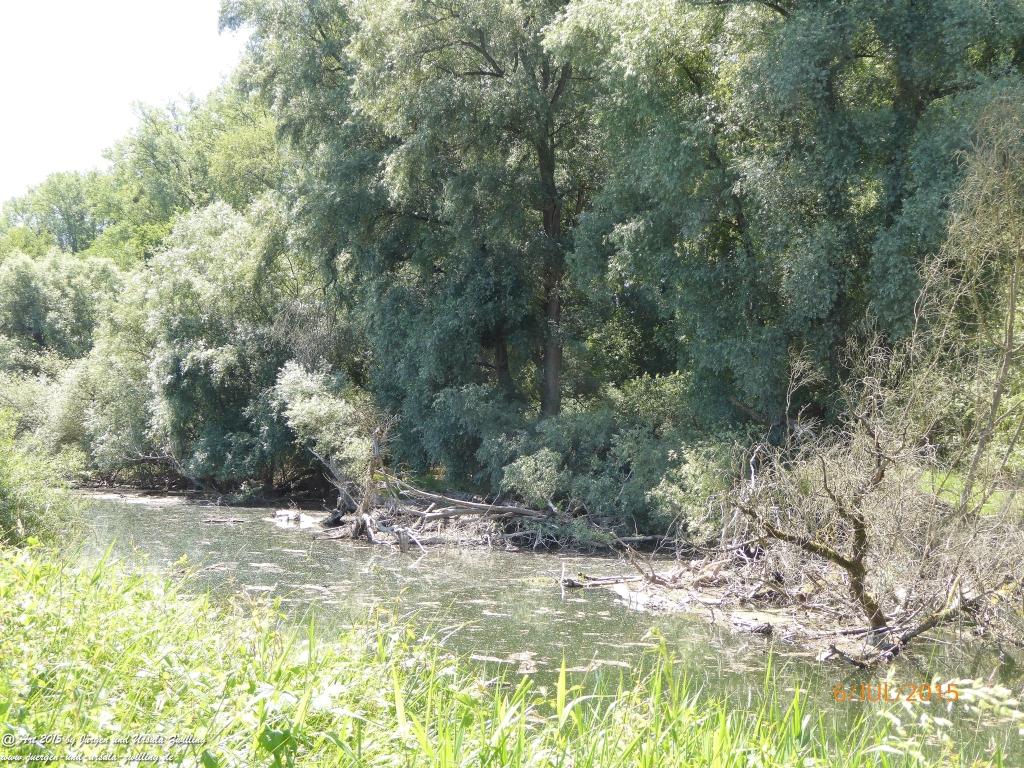 Philosophische Bildwanderung Hoerdt-Treidlerweg - Pfalz