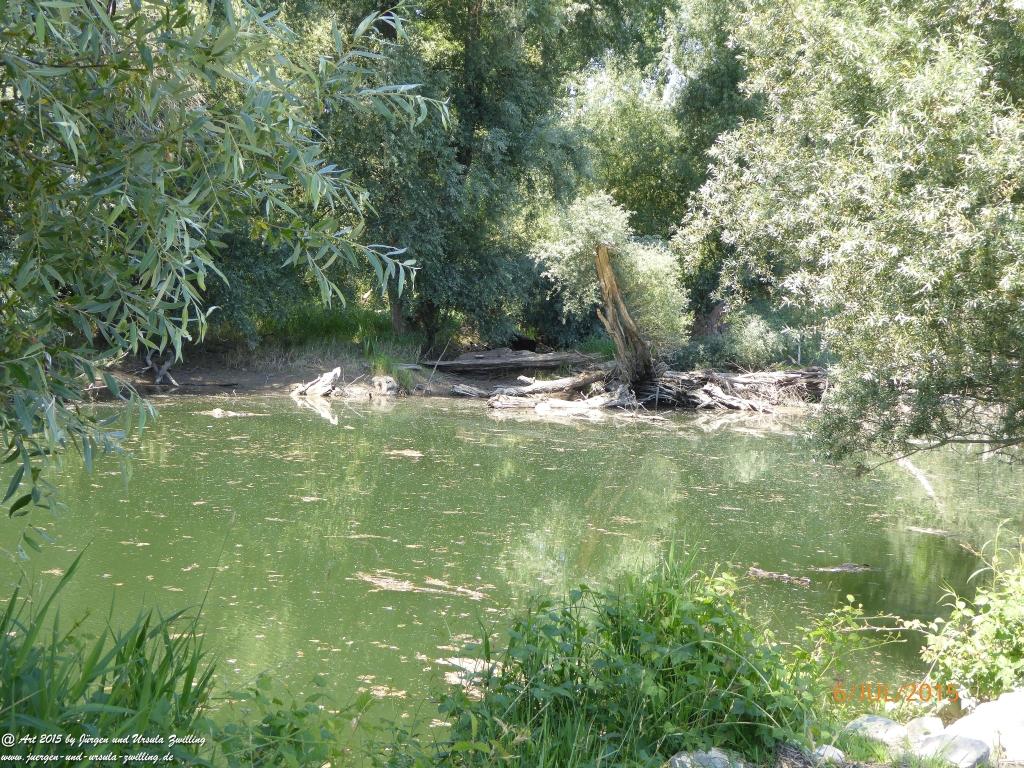 Philosophische Bildwanderung Hoerdt-Treidlerweg - Pfalz