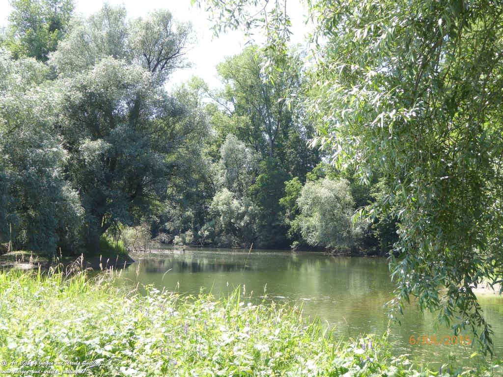 Philosophische Bildwanderung Hoerdt-Treidlerweg - Pfalz