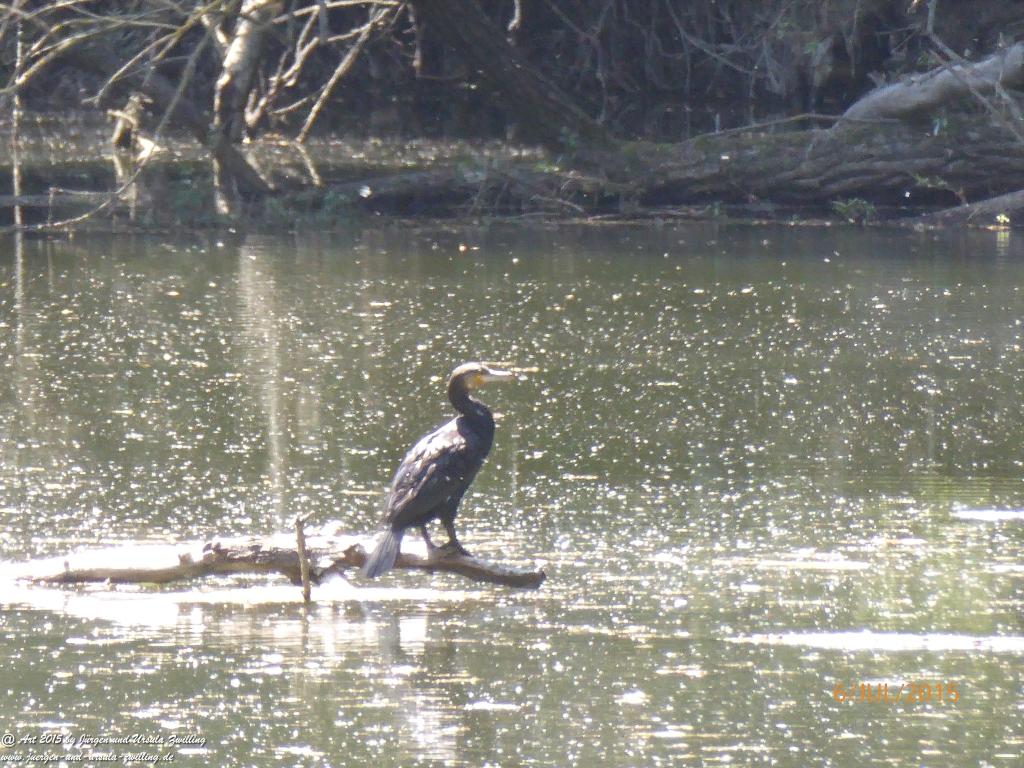 Philosophische Bildwanderung Hoerdt-Treidlerweg - Pfalz