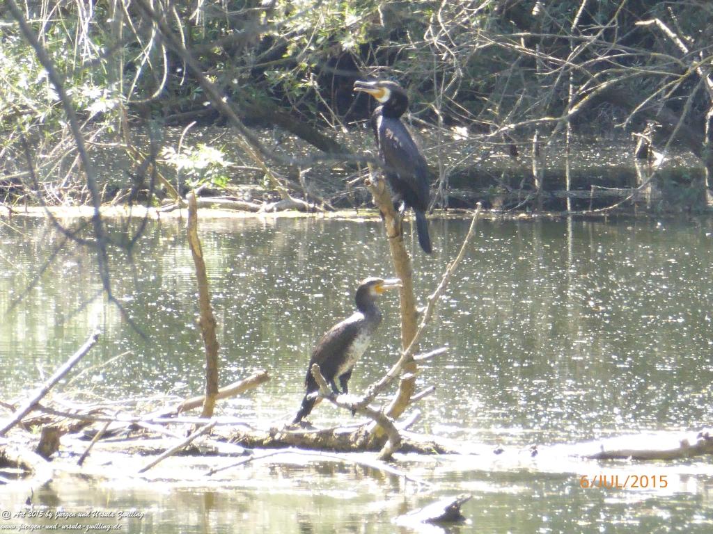 Philosophische Bildwanderung Hoerdt-Treidlerweg - Pfalz