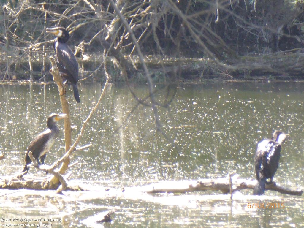 Philosophische Bildwanderung Hoerdt-Treidlerweg - Pfalz