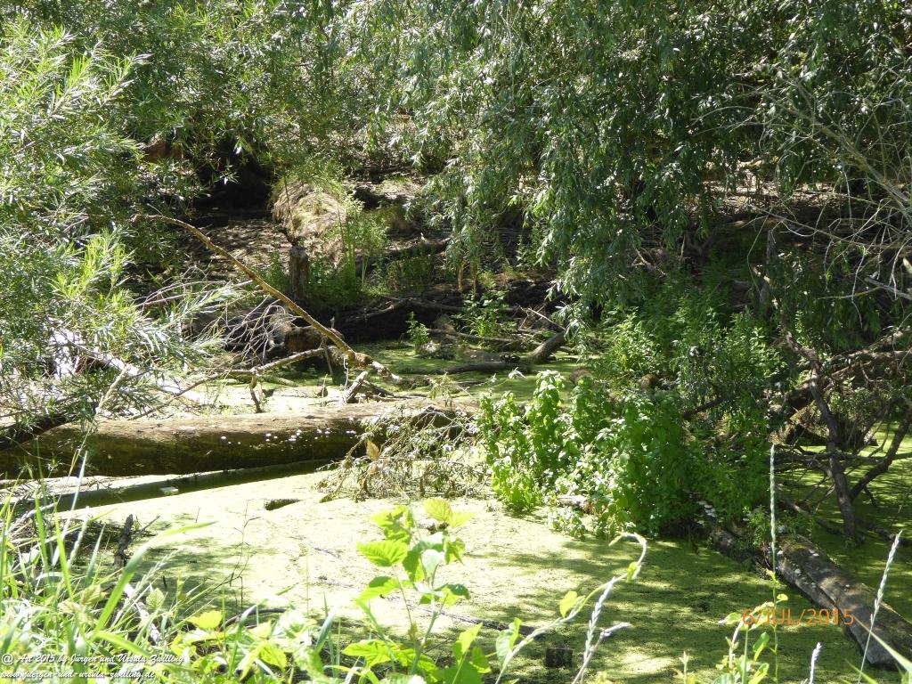 Philosophische Bildwanderung Hoerdt-Treidlerweg - Pfalz