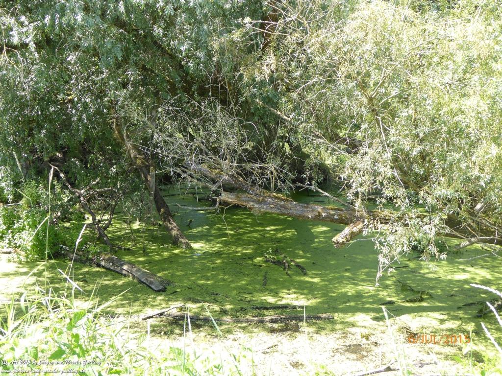 Philosophische Bildwanderung Hoerdt-Treidlerweg - Pfalz