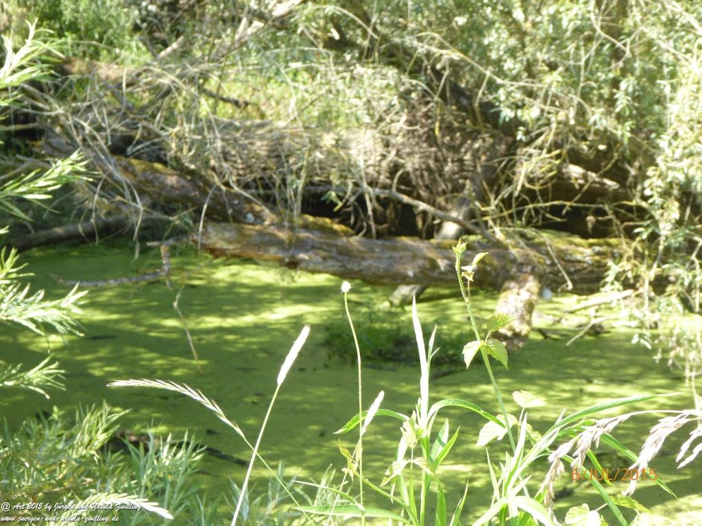 Philosophische Bildwanderung Hoerdt-Treidlerweg - Pfalz