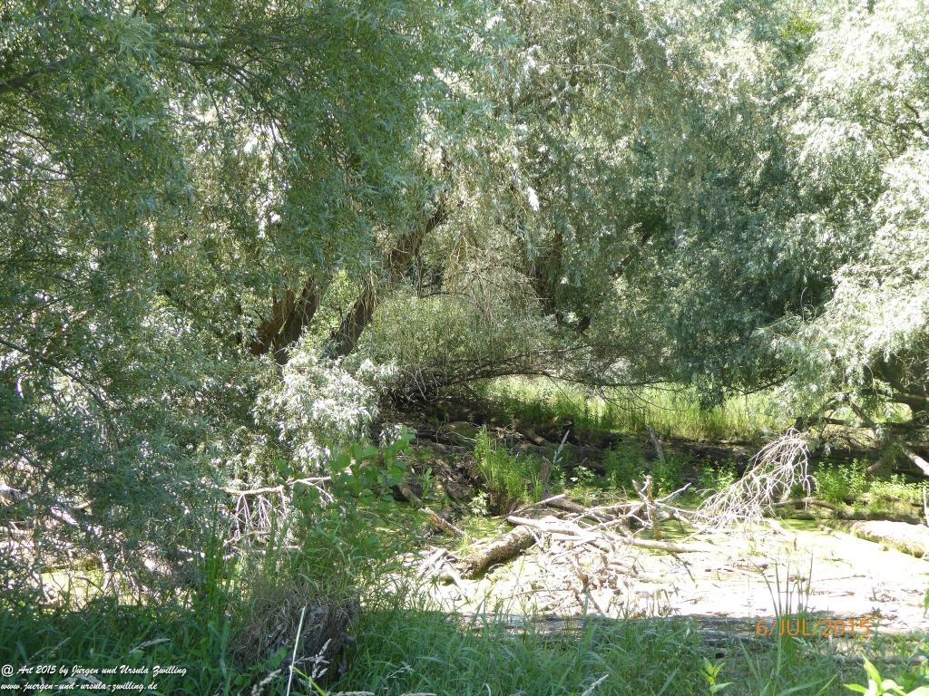 Philosophische Bildwanderung Hoerdt-Treidlerweg - Pfalz