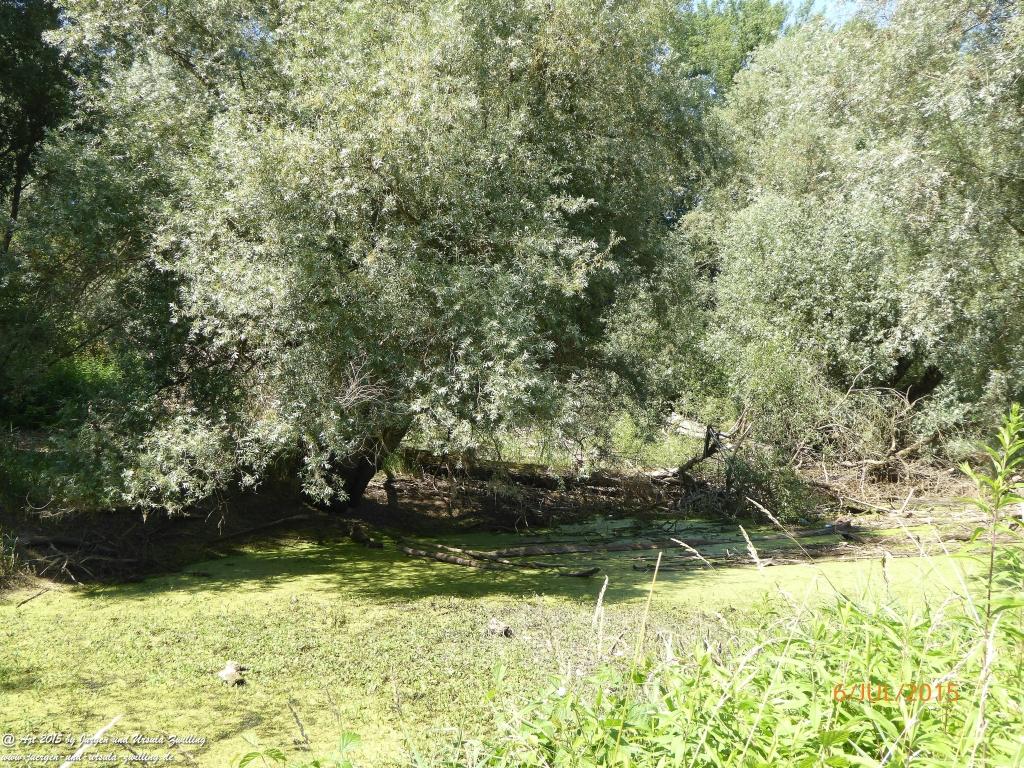 Philosophische Bildwanderung Hoerdt-Treidlerweg - Pfalz