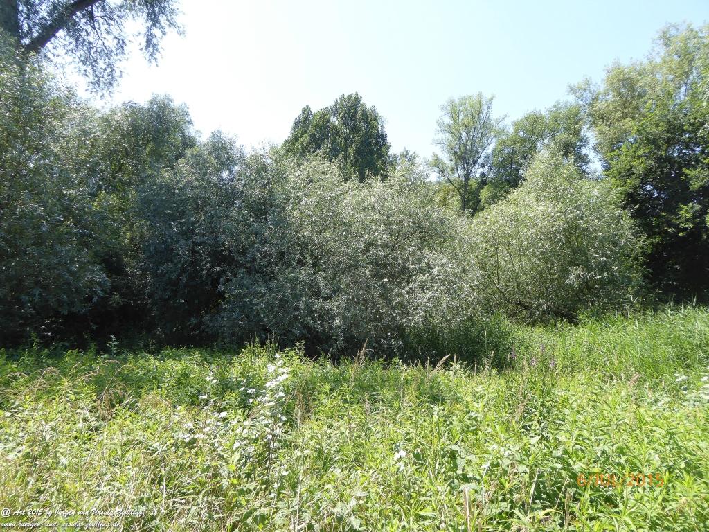 Philosophische Bildwanderung Hoerdt-Treidlerweg - Pfalz