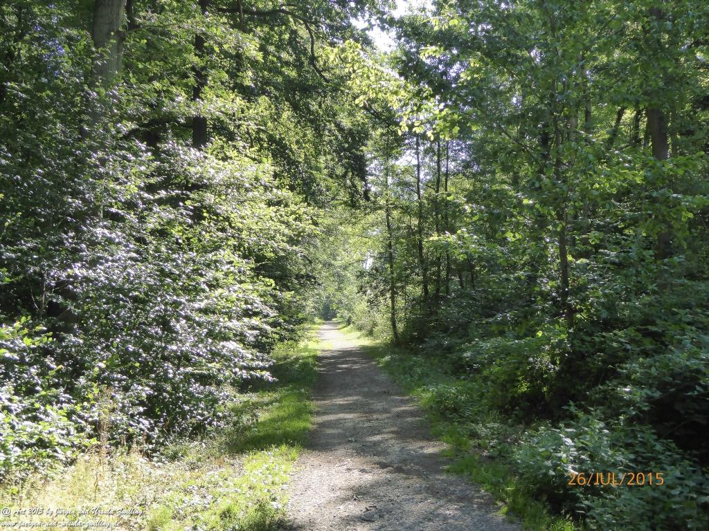 Philosophische Bildwanderung Michel\'s Vitaltour - Stromberg - Schindeldorf - Soonwald - Hunsrück - Naheland