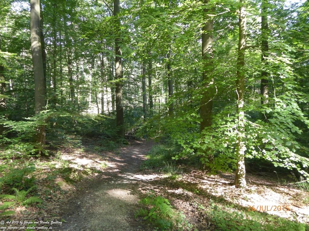 Philosophische Bildwanderung Michel\'s Vitaltour - Stromberg - Schindeldorf - Soonwald - Hunsrück - Naheland