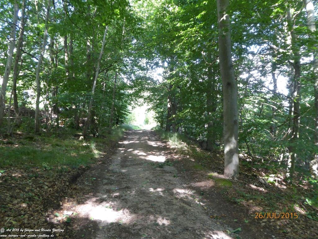 Philosophische Bildwanderung Michel\'s Vitaltour - Stromberg - Schindeldorf - Soonwald - Hunsrück - Naheland