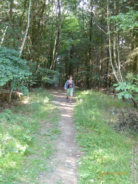 Philosophische Bildwanderung Michel\'s Vitaltour - Stromberg - Schindeldorf - Soonwald - Hunsrück - Naheland