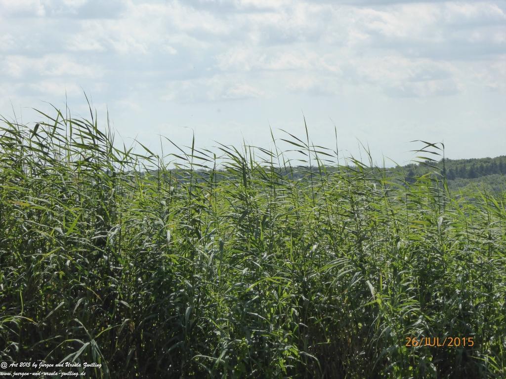 Philosophische Bildwanderung Michel\'s Vitaltour - Stromberg - Schindeldorf - Soonwald - Hunsrück - Naheland