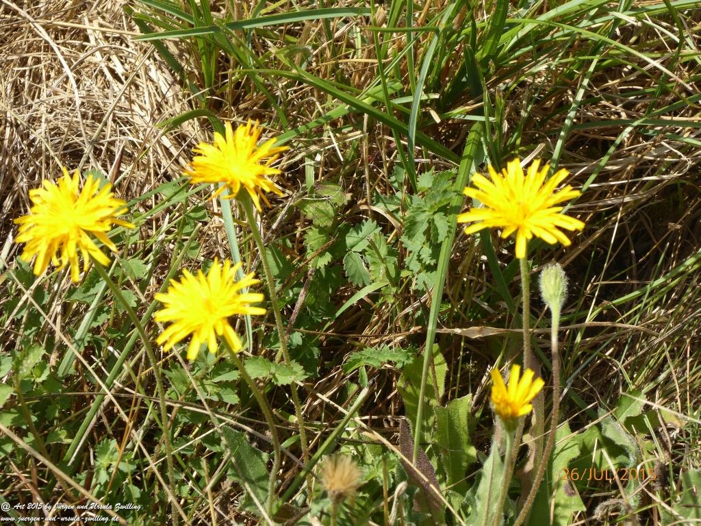 Philosophische Bildwanderung Michel\'s Vitaltour - Stromberg - Schindeldorf - Soonwald - Hunsrück - Naheland