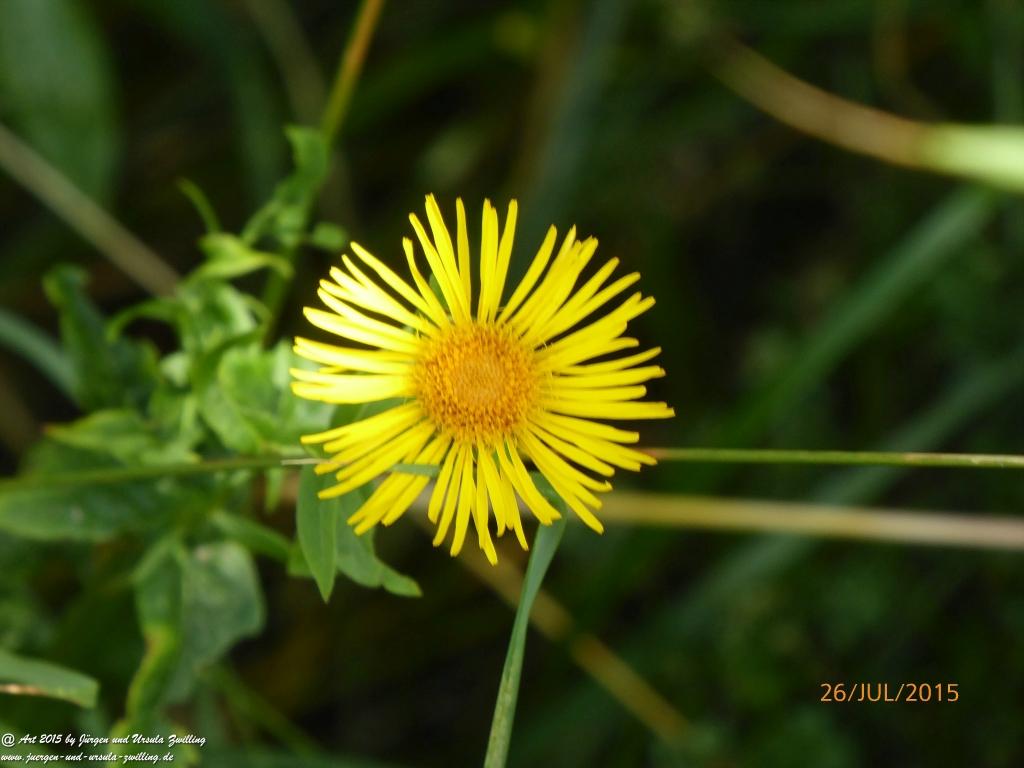 Philosophische Bildwanderung Michel\'s Vitaltour - Stromberg - Schindeldorf - Soonwald - Hunsrück - Naheland