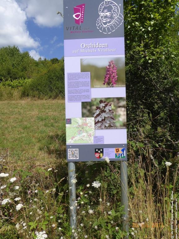 Philosophische Bildwanderung Michel\'s Vitaltour - Stromberg - Schindeldorf - Soonwald - Hunsrück - Naheland