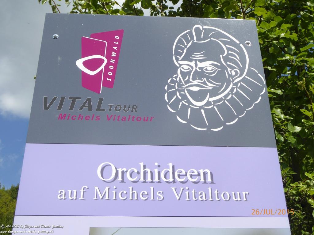 Philosophische Bildwanderung Michel\'s Vitaltour - Stromberg - Schindeldorf - Soonwald - Hunsrück - Naheland