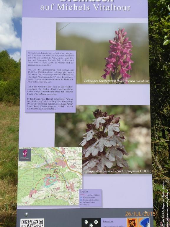 Philosophische Bildwanderung Michel\'s Vitaltour - Stromberg - Schindeldorf - Soonwald - Hunsrück - Naheland