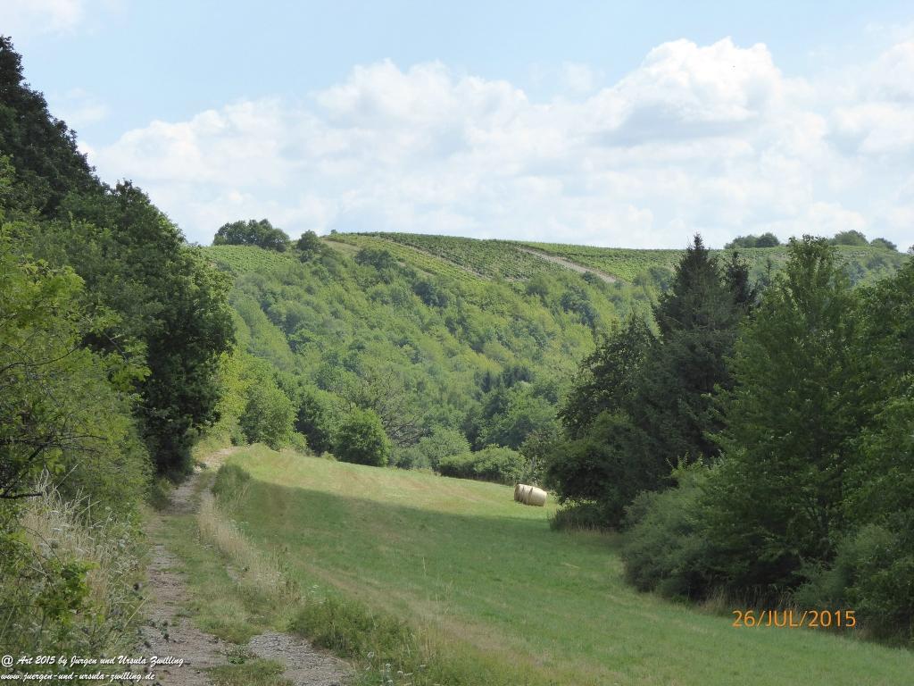 Philosophische Bildwanderung Michel\'s Vitaltour - Stromberg - Schindeldorf - Soonwald - Hunsrück - Naheland